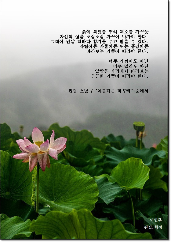 흙과씨앗 이미지