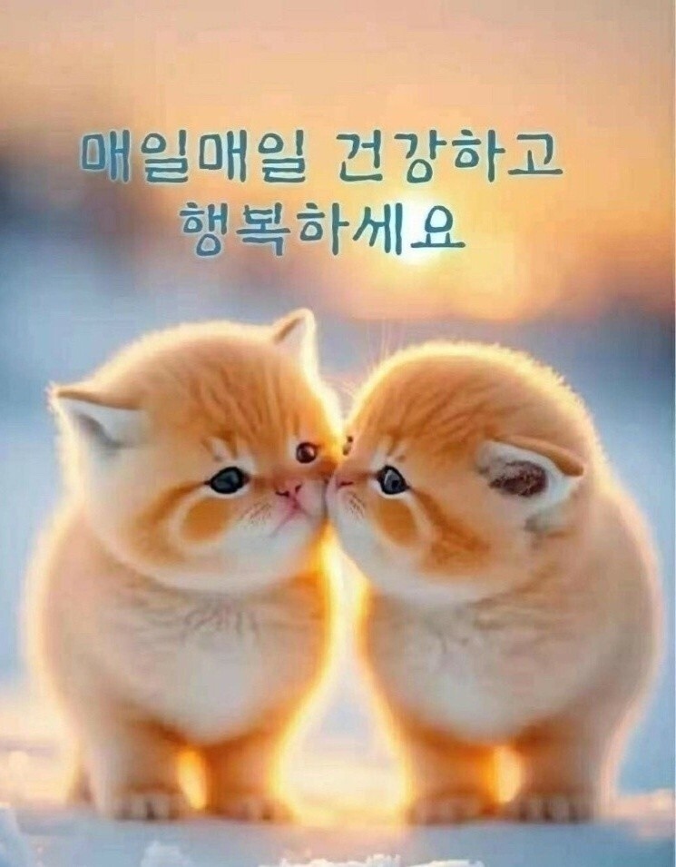 신희준 이미지