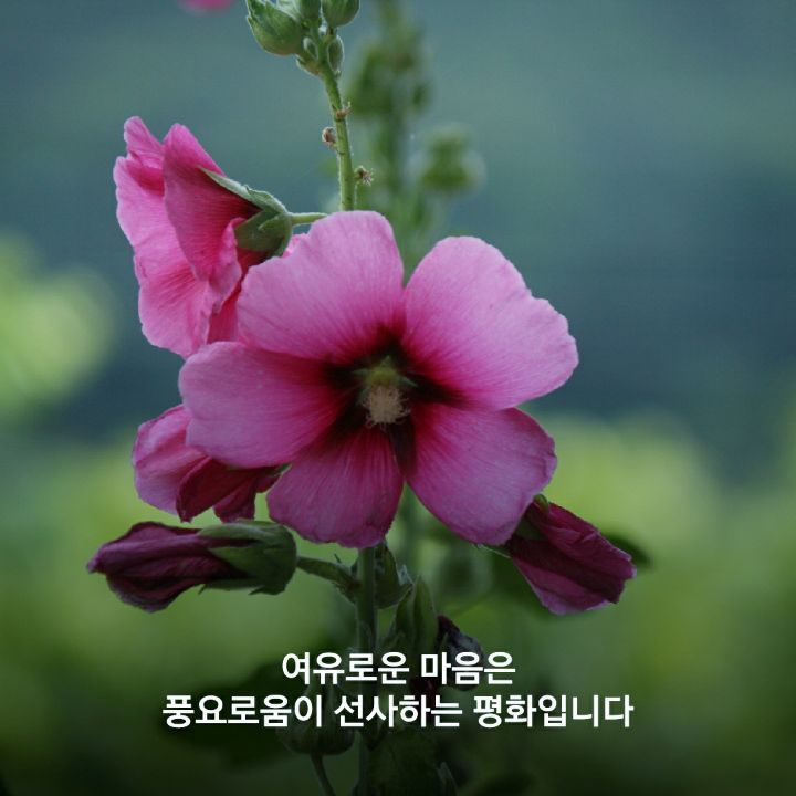 여유로운 마음은 - 감동적인 글 - 빠다킹신부와 새벽을 열며 여유로운 마음은
