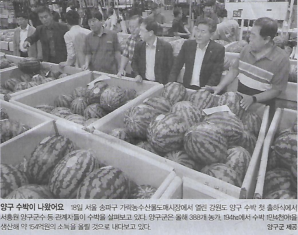 수소나라 이미지