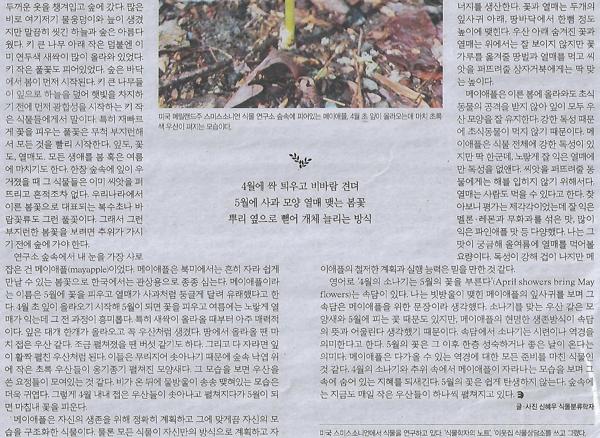 초록e 이미지