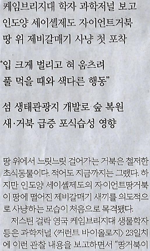 갈매기나라 이미지