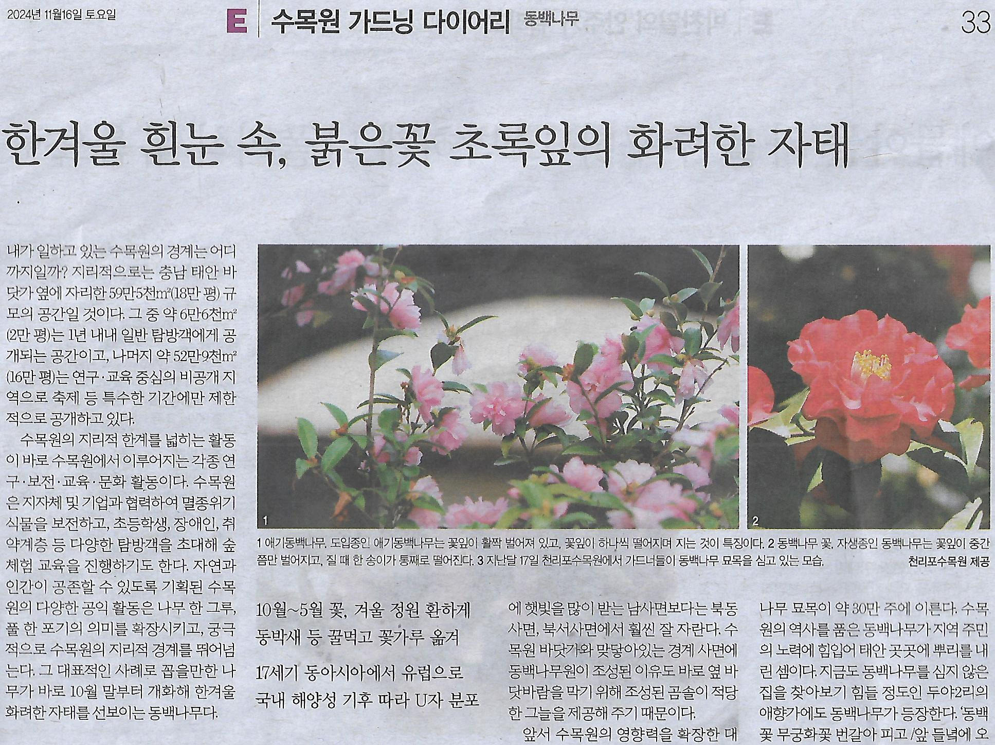 초록e 이미지