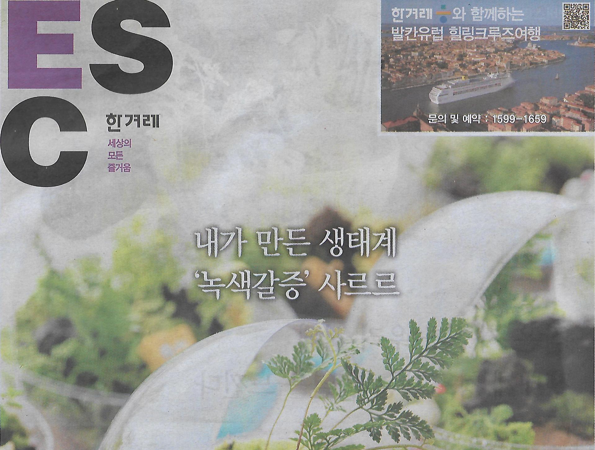 내가만든나라 이미지