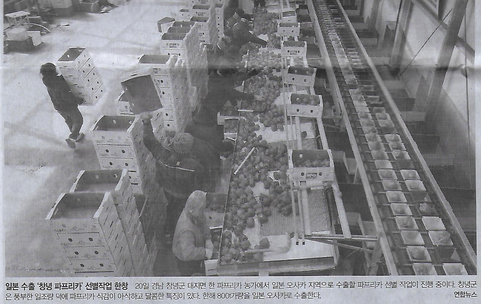 구제나라 이미지