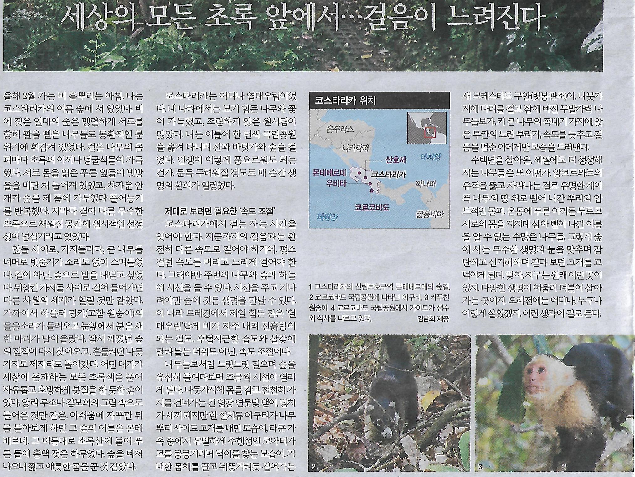 초록e 이미지
