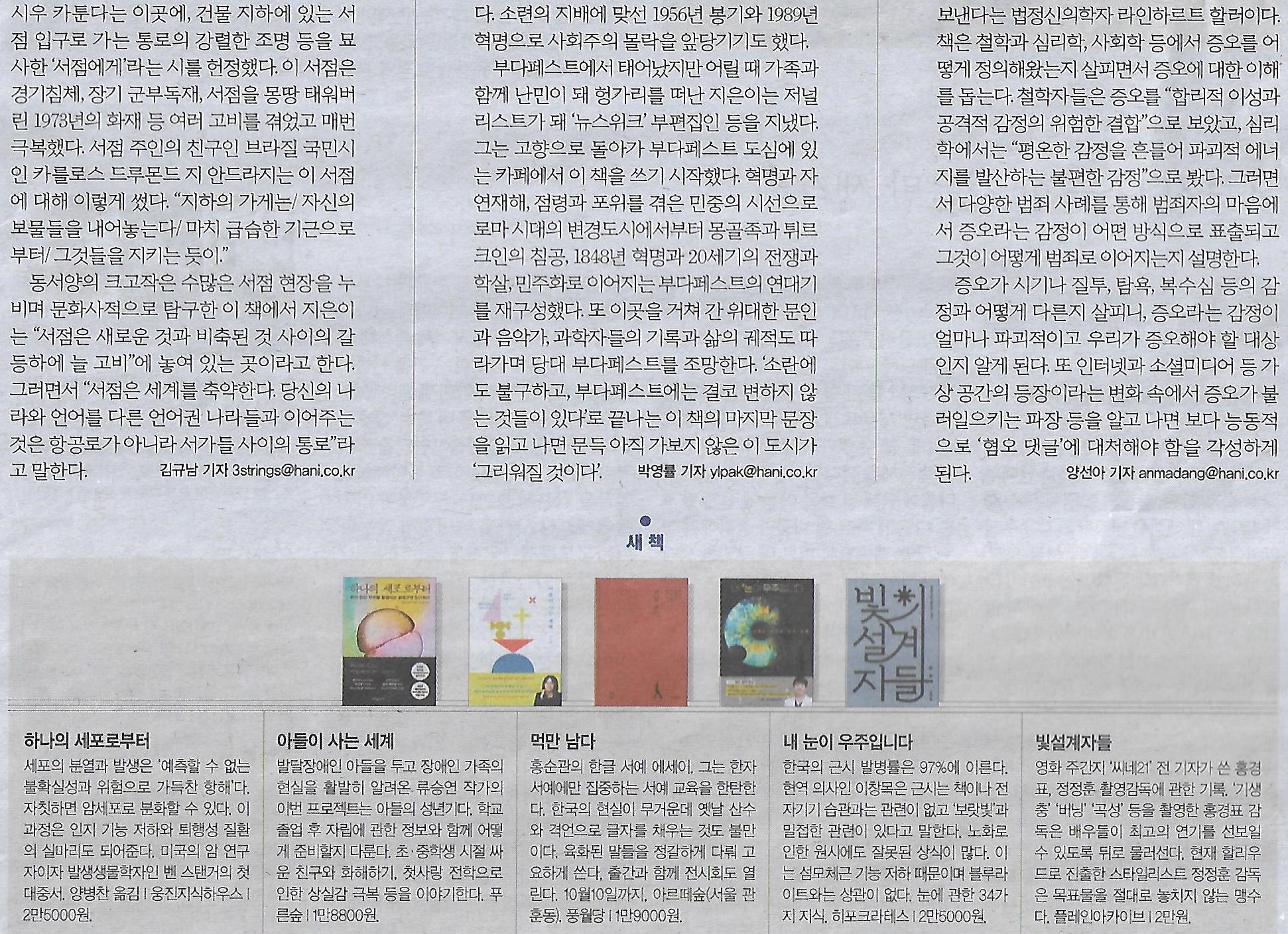 뉴포트 이미지
