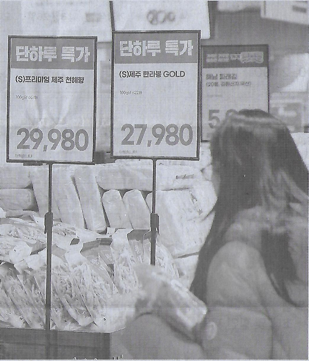 최고취업 이미지