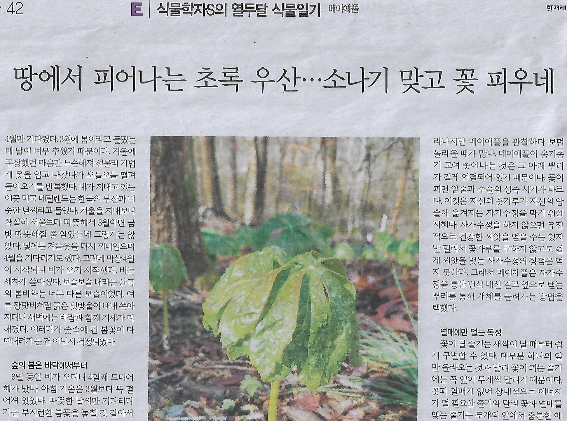 초록e 이미지