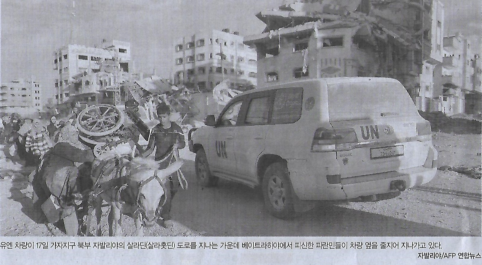 동포제일 이미지