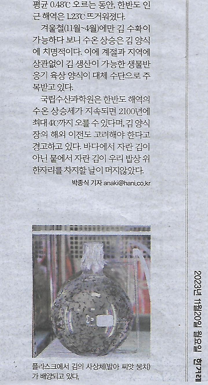 양식나라 이미지
