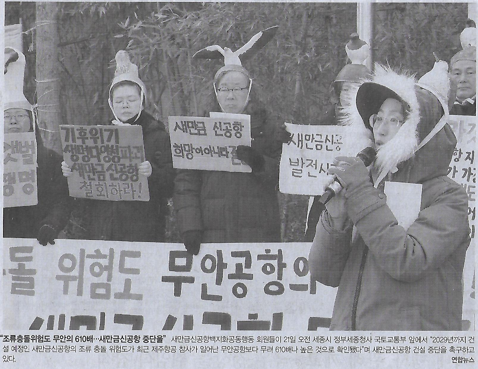 홍나라 이미지