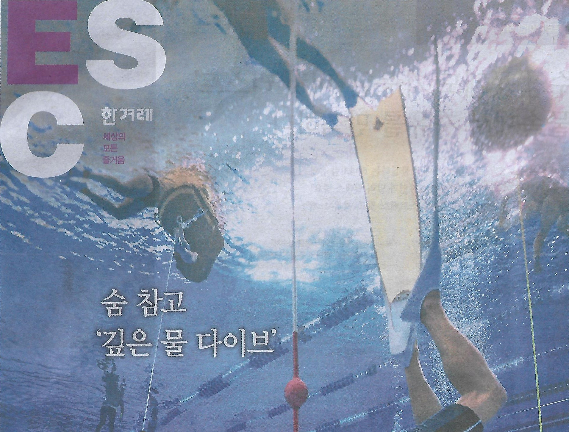 다이브 이미지