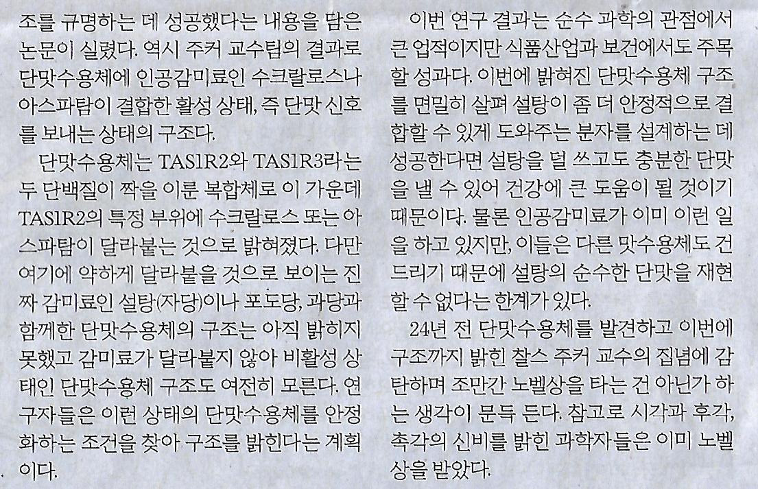 오피니언 이미지