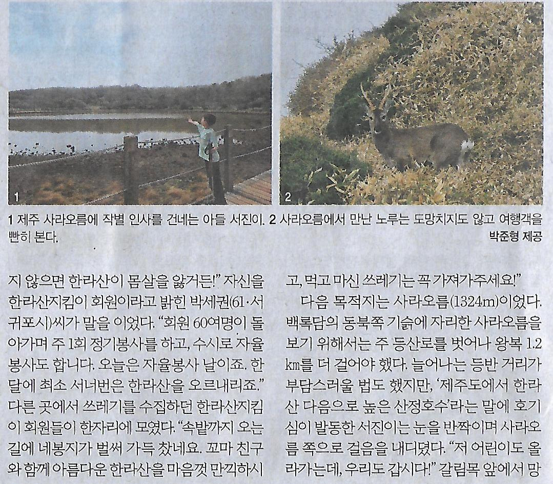 바라본바다 이미지