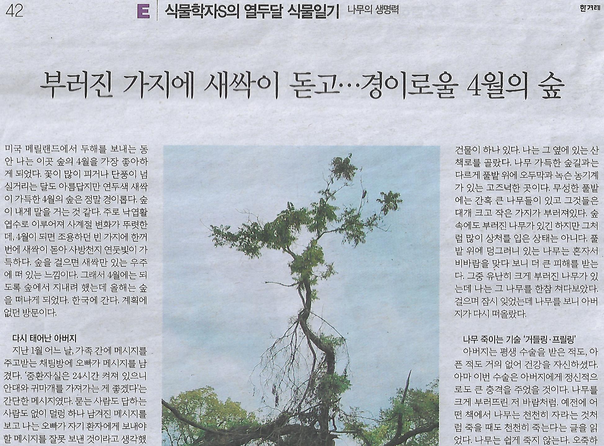 새싹나라 이미지