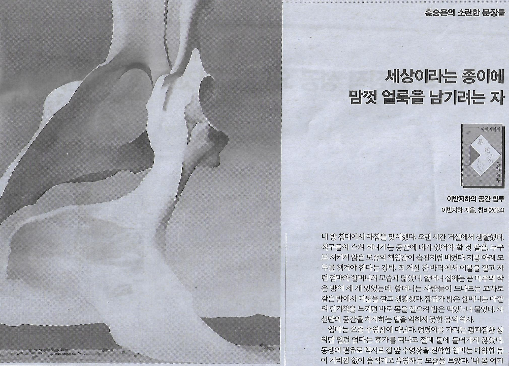 나라이브 이미지