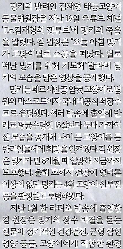 갈매기나라 이미지
