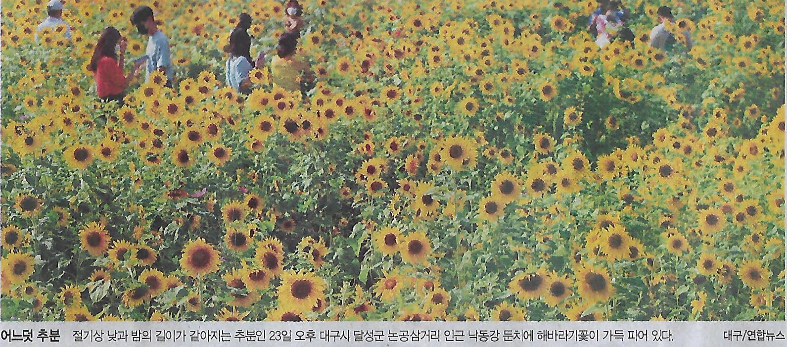 종합전기 이미지