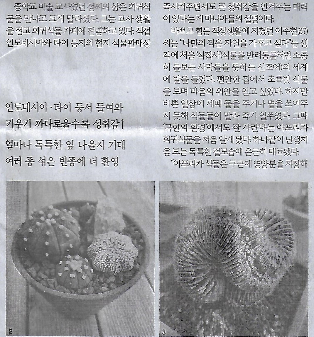화분나라 이미지