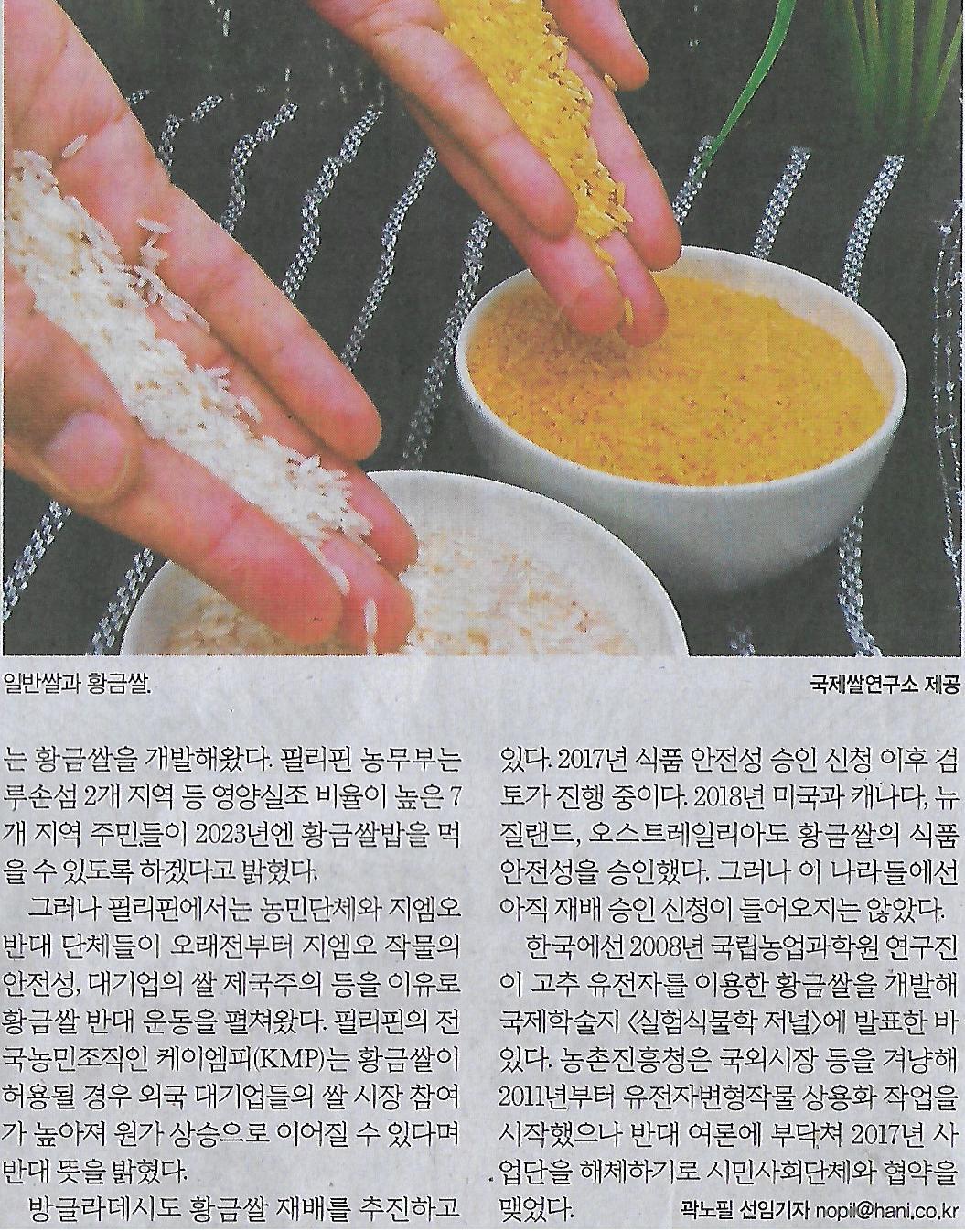 황금밥상 이미지