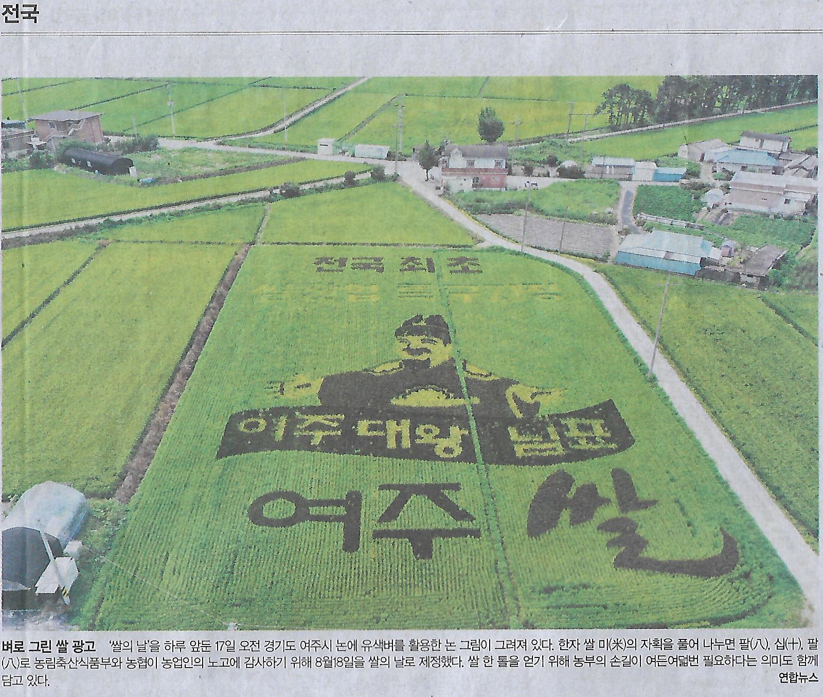 그린광고 이미지
