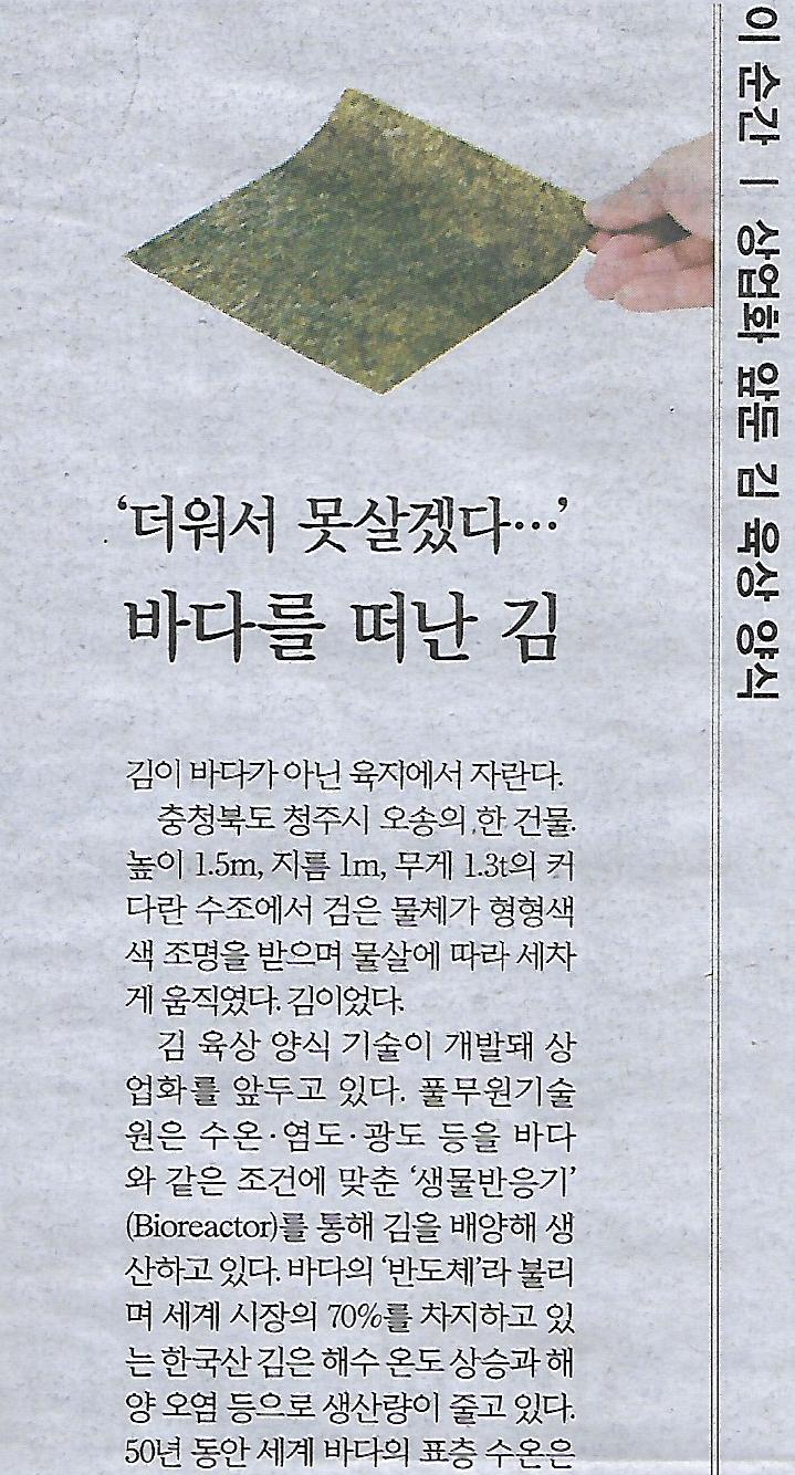 양식나라 이미지