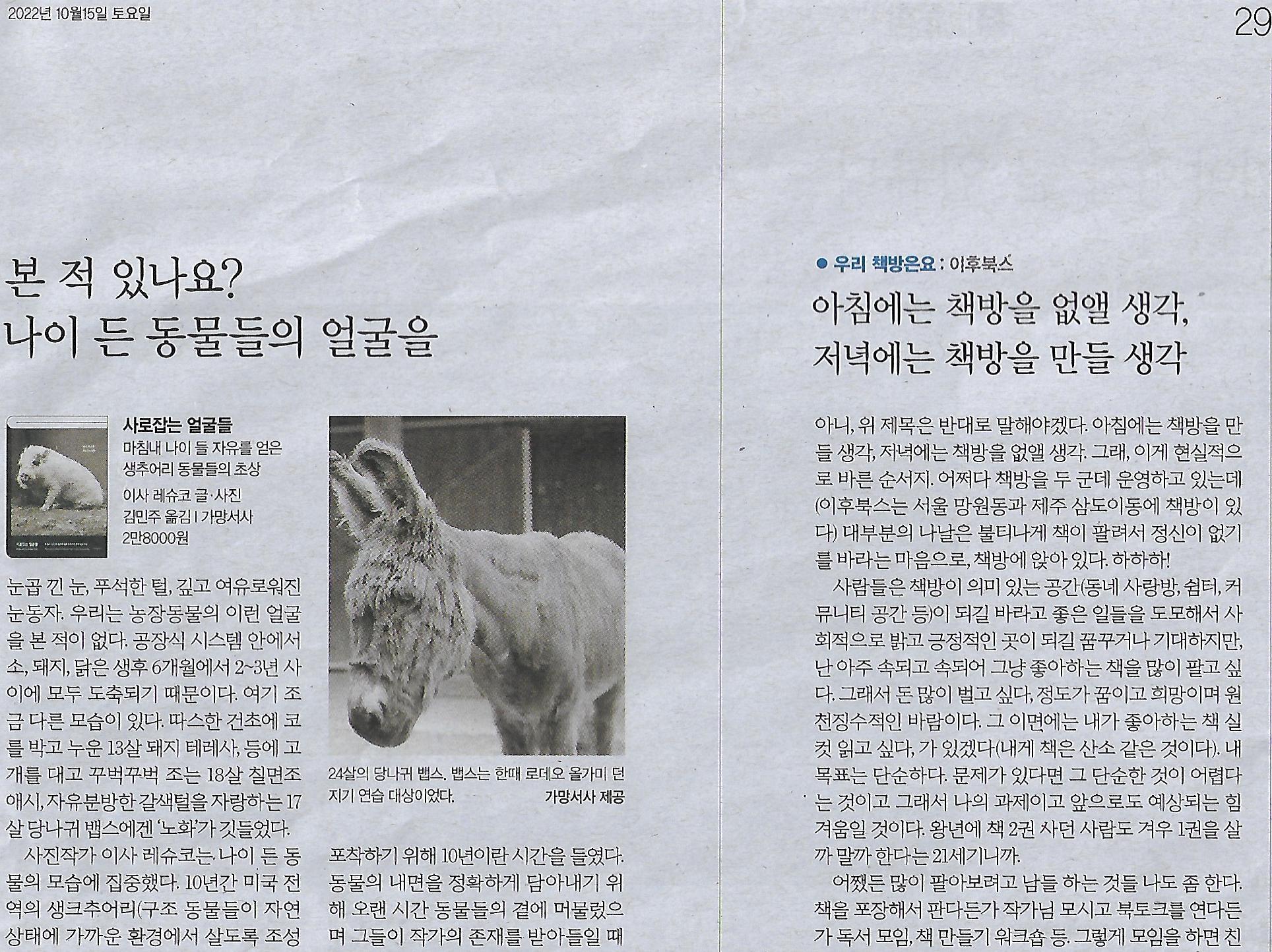 에스s 이미지