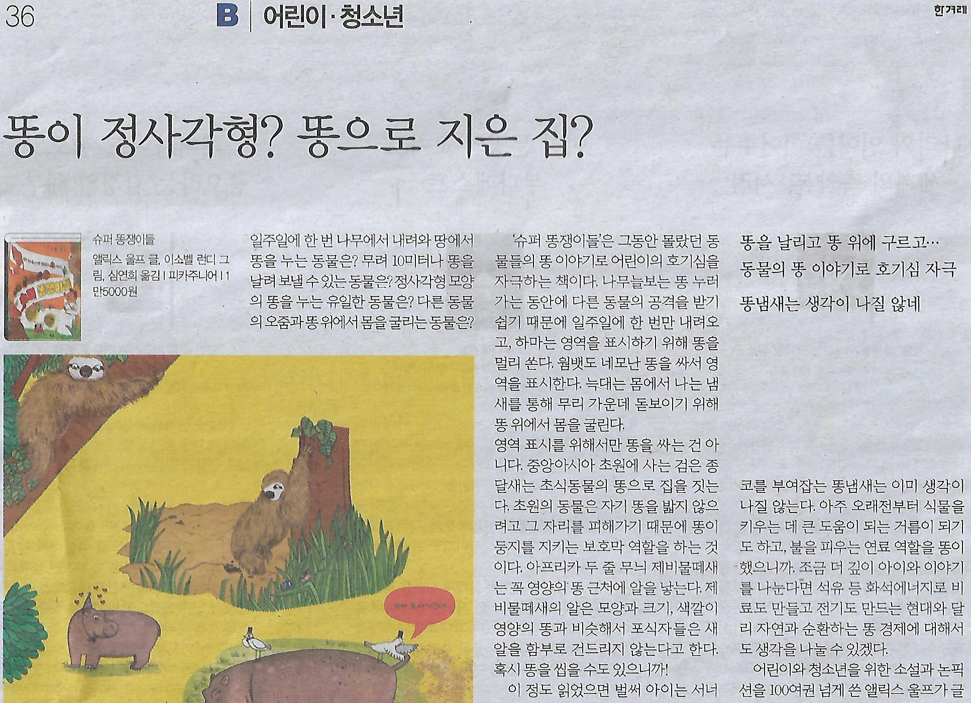 피카 이미지