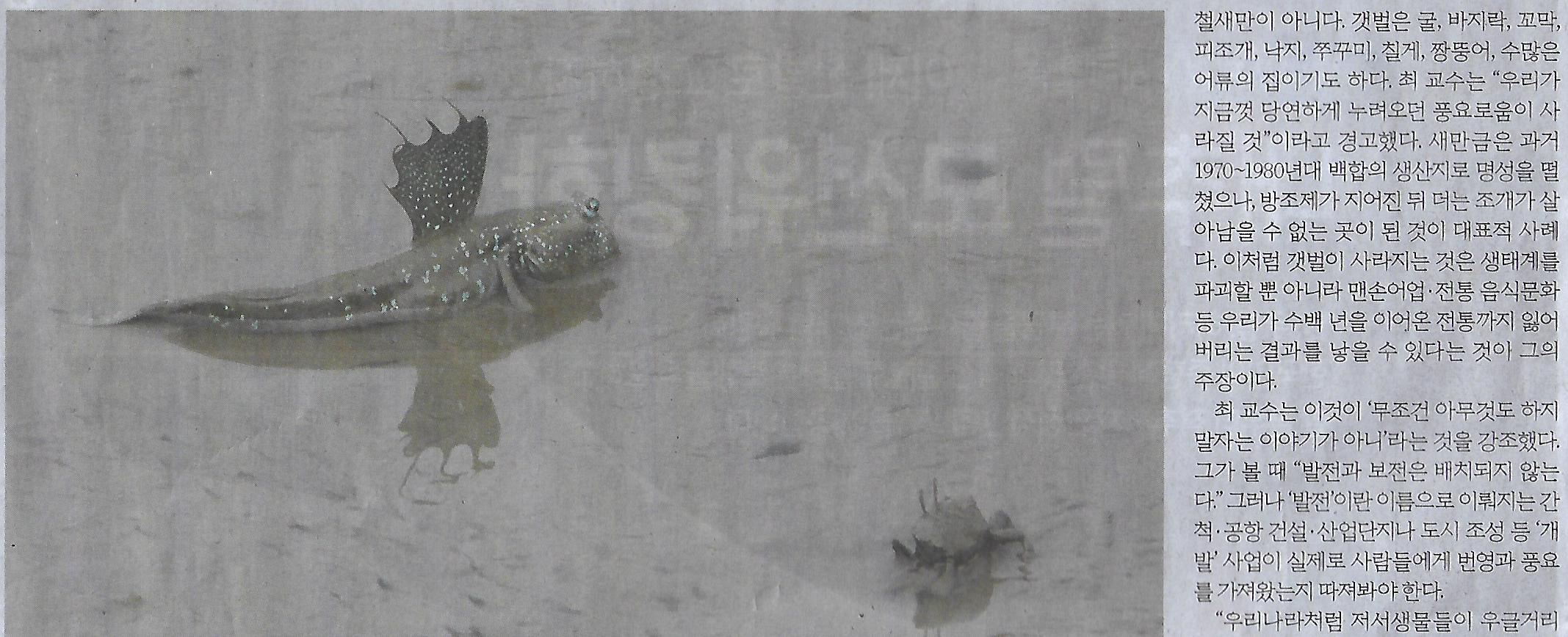 황금알 이미지