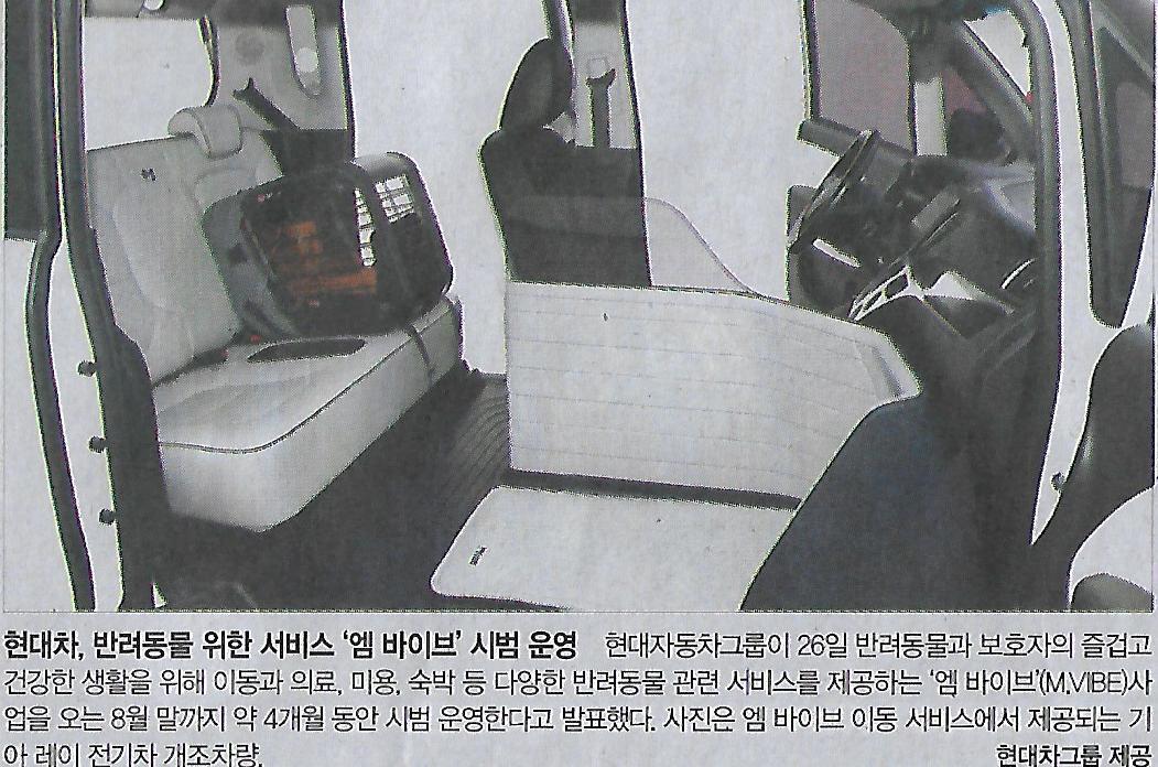 대어나라 이미지