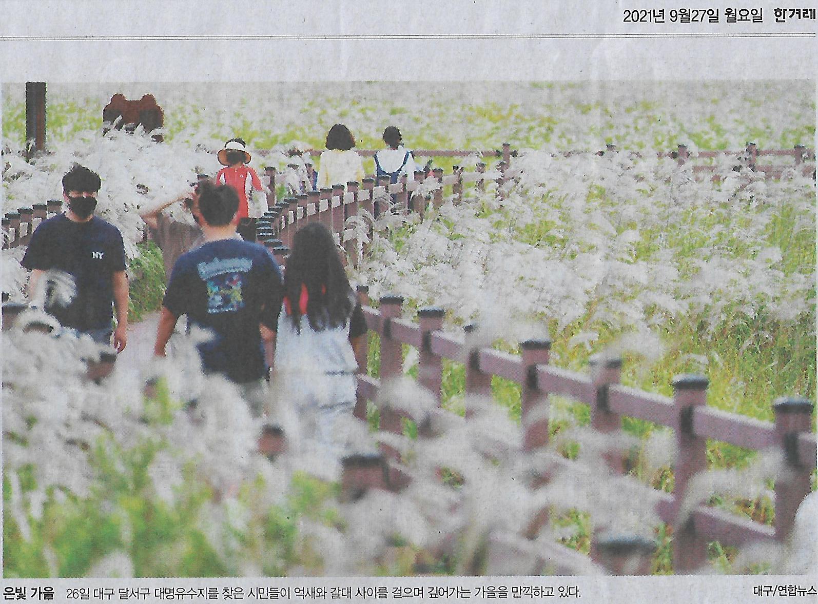 속옷나라 이미지