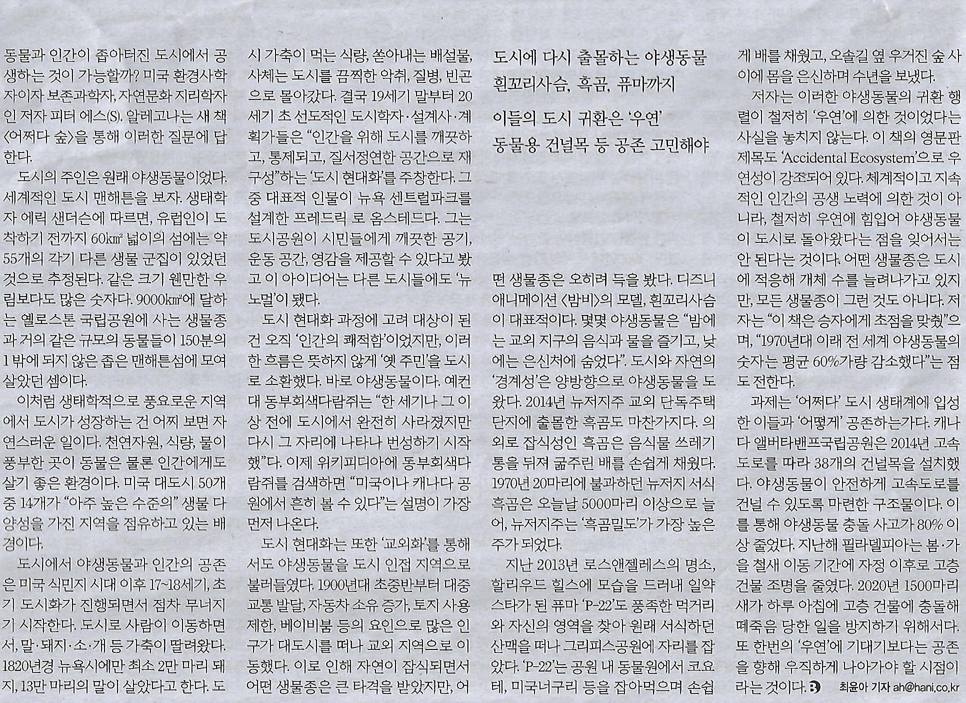 에스s 이미지
