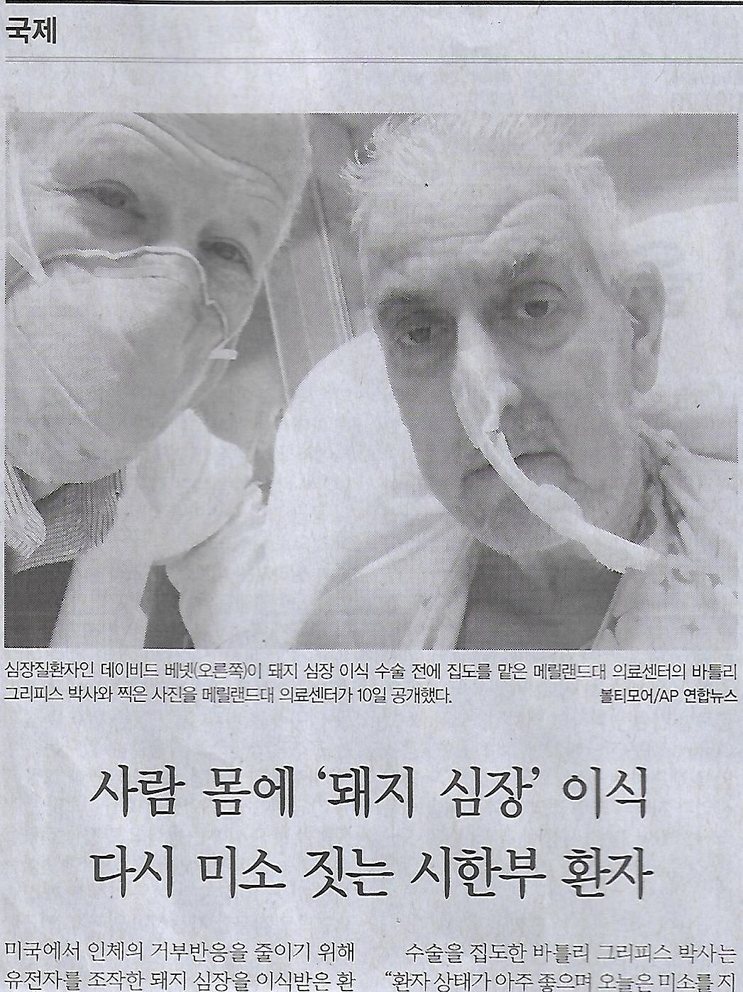미소짓는돼지 이미지