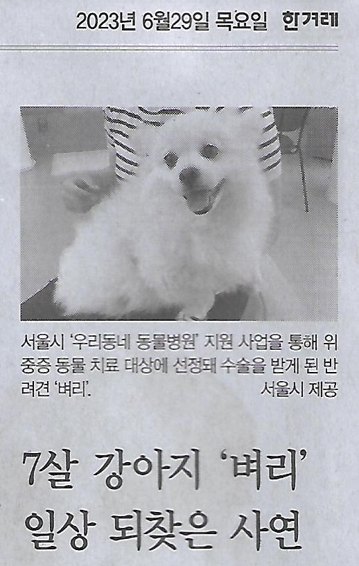 핸드폰나라 이미지