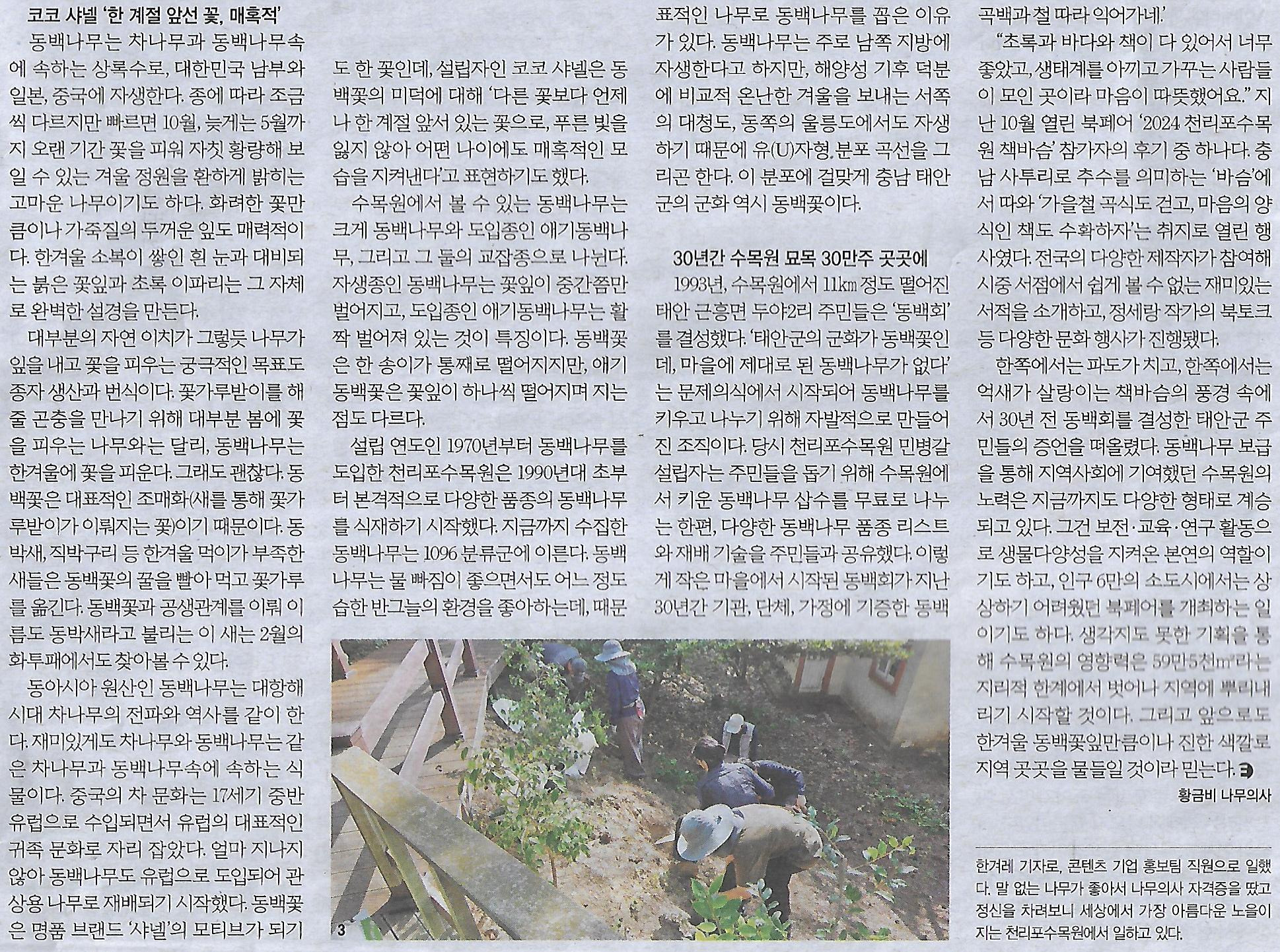 초록e 이미지