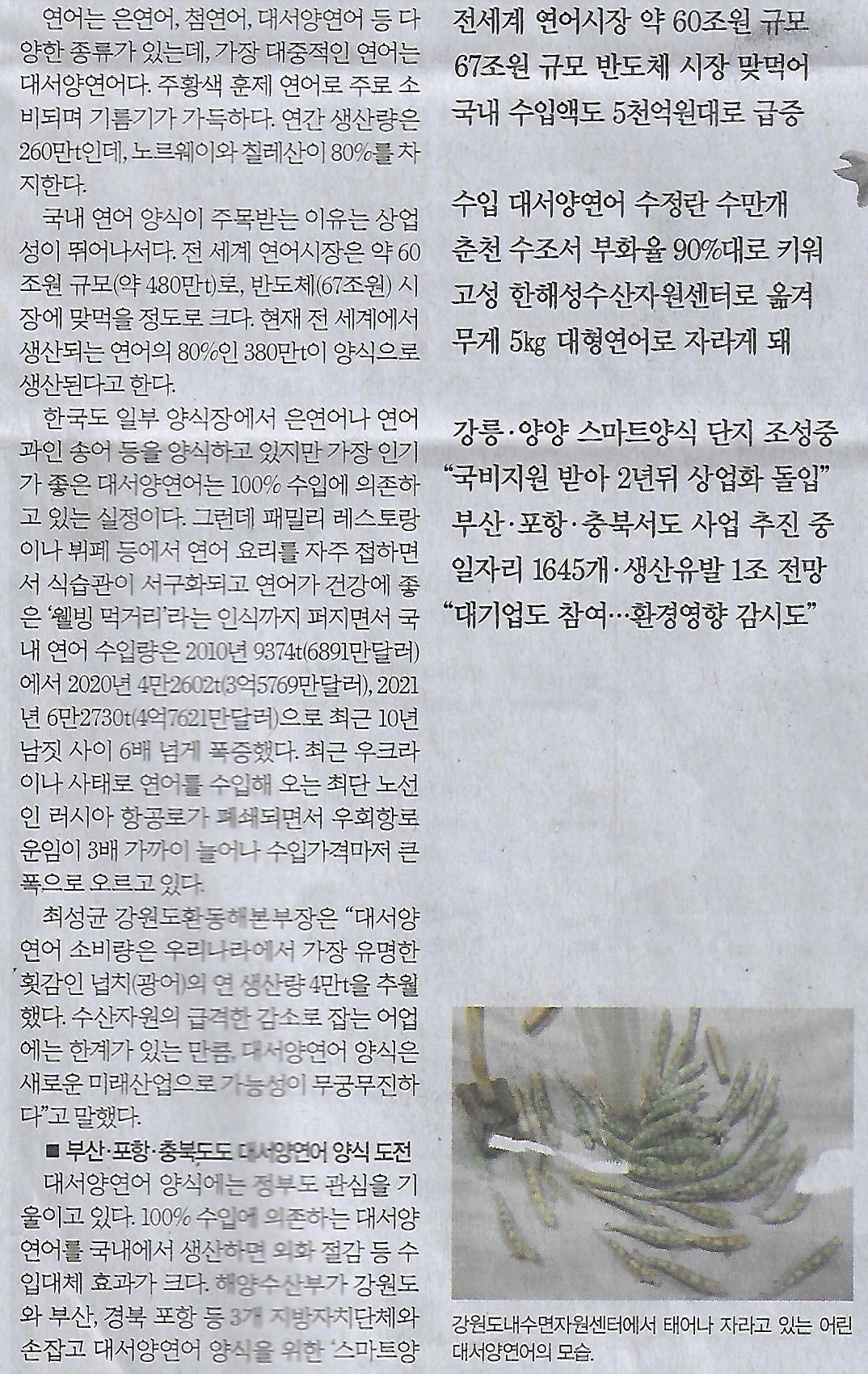 반도기획 이미지