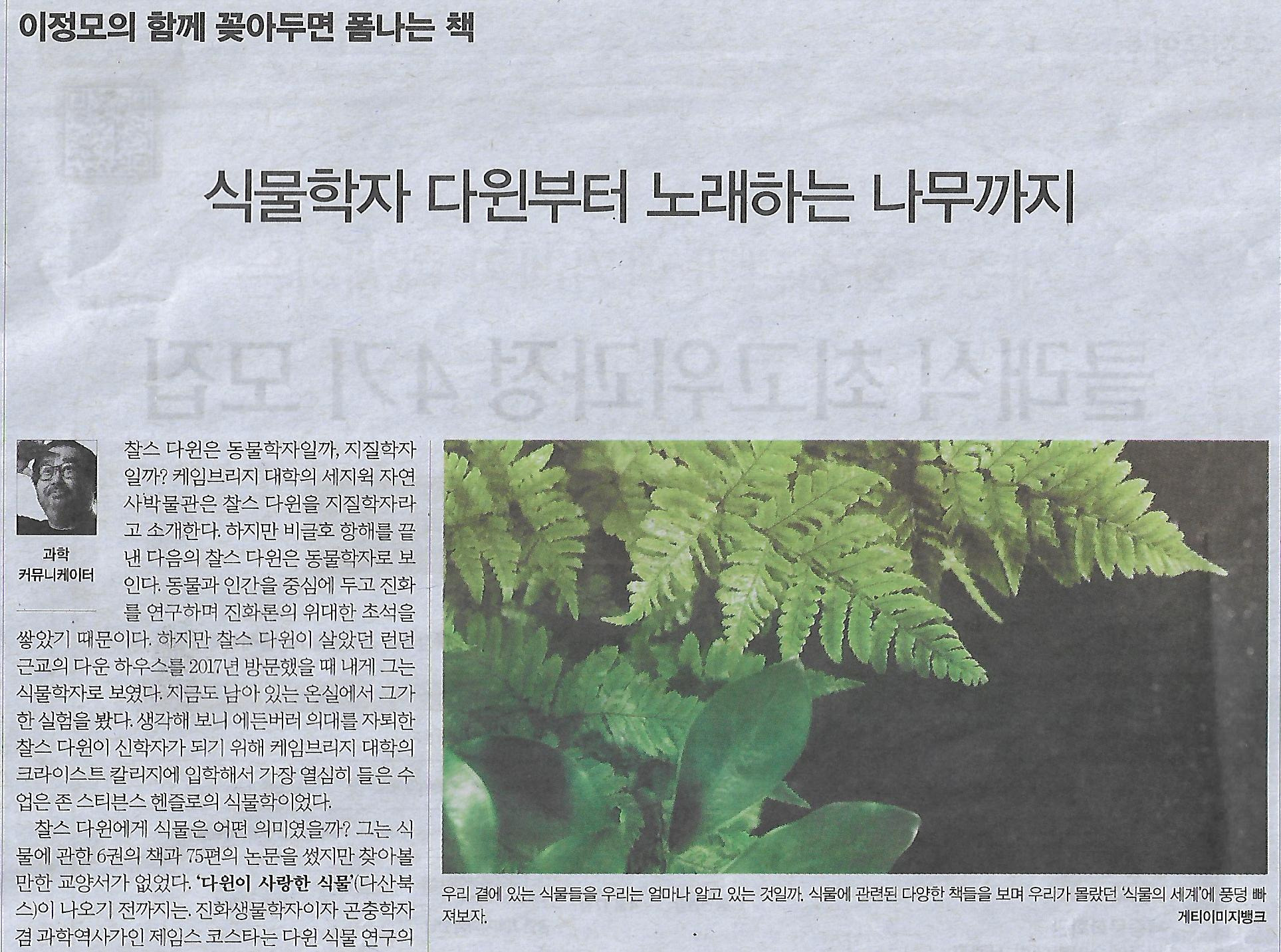 노래하는 나무 이미지