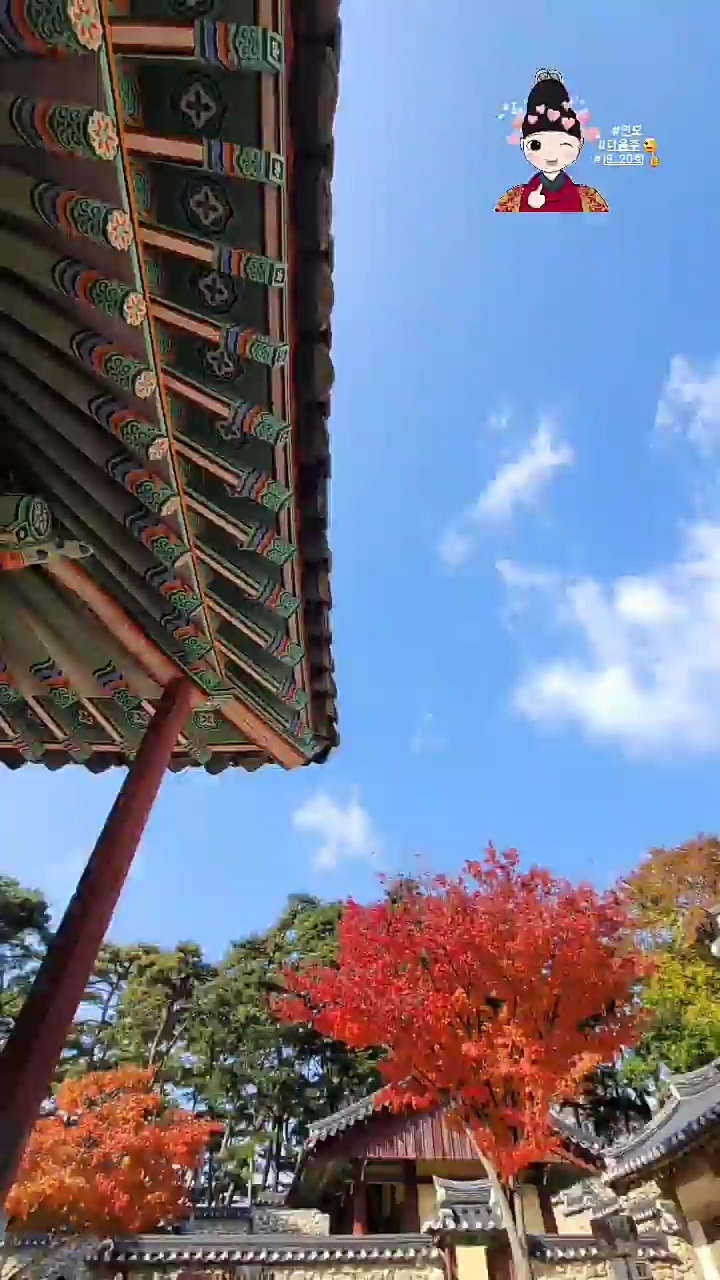 빈스토리 이미지
