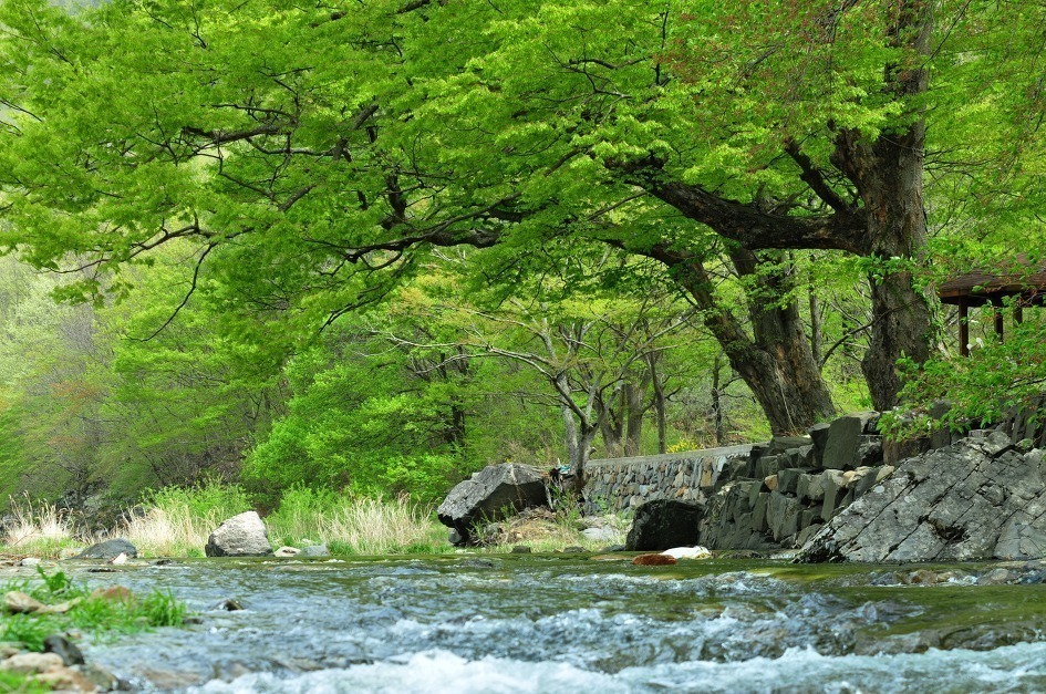 쵸이스다방 이미지
