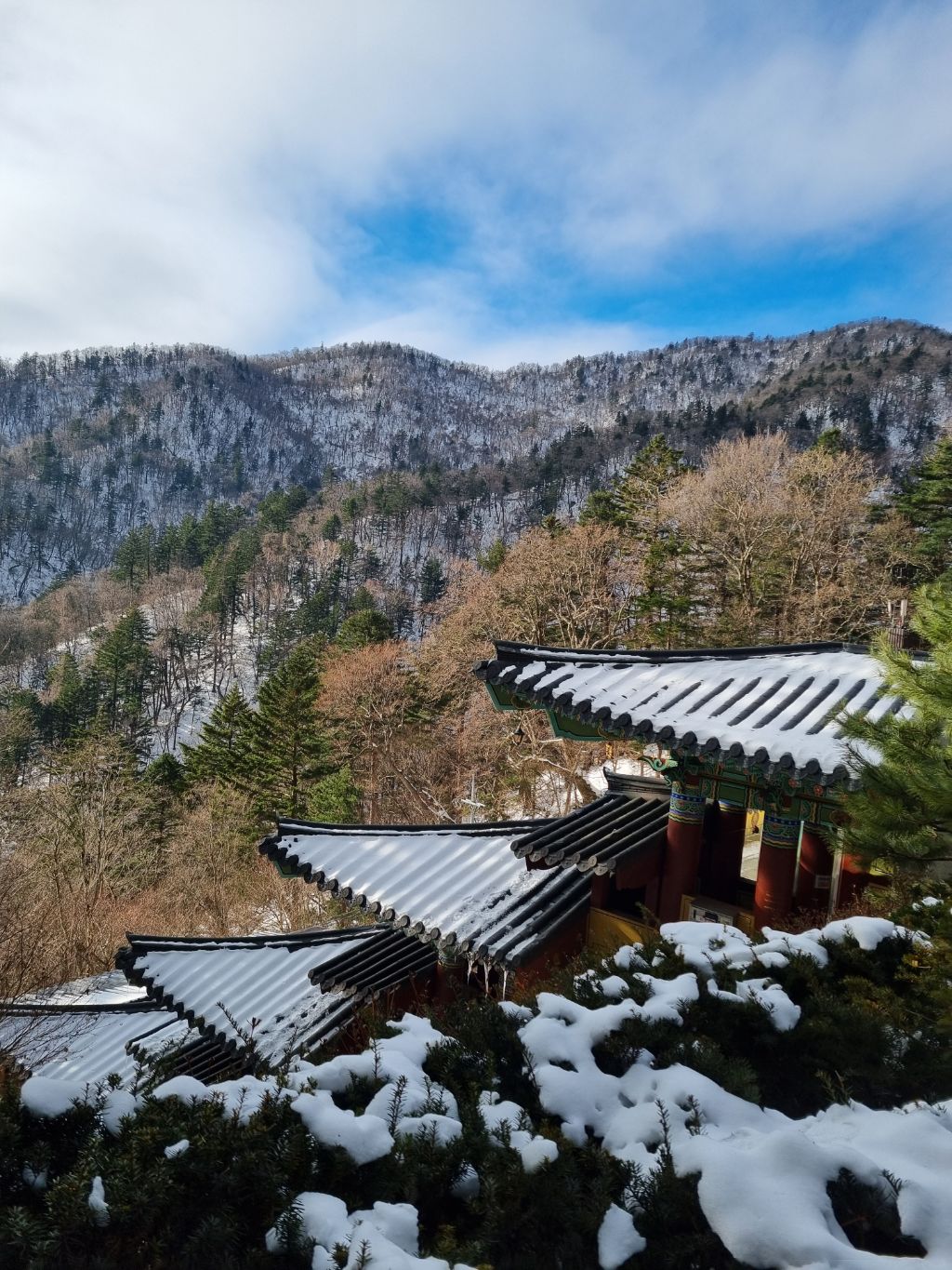 오대산 이미지
