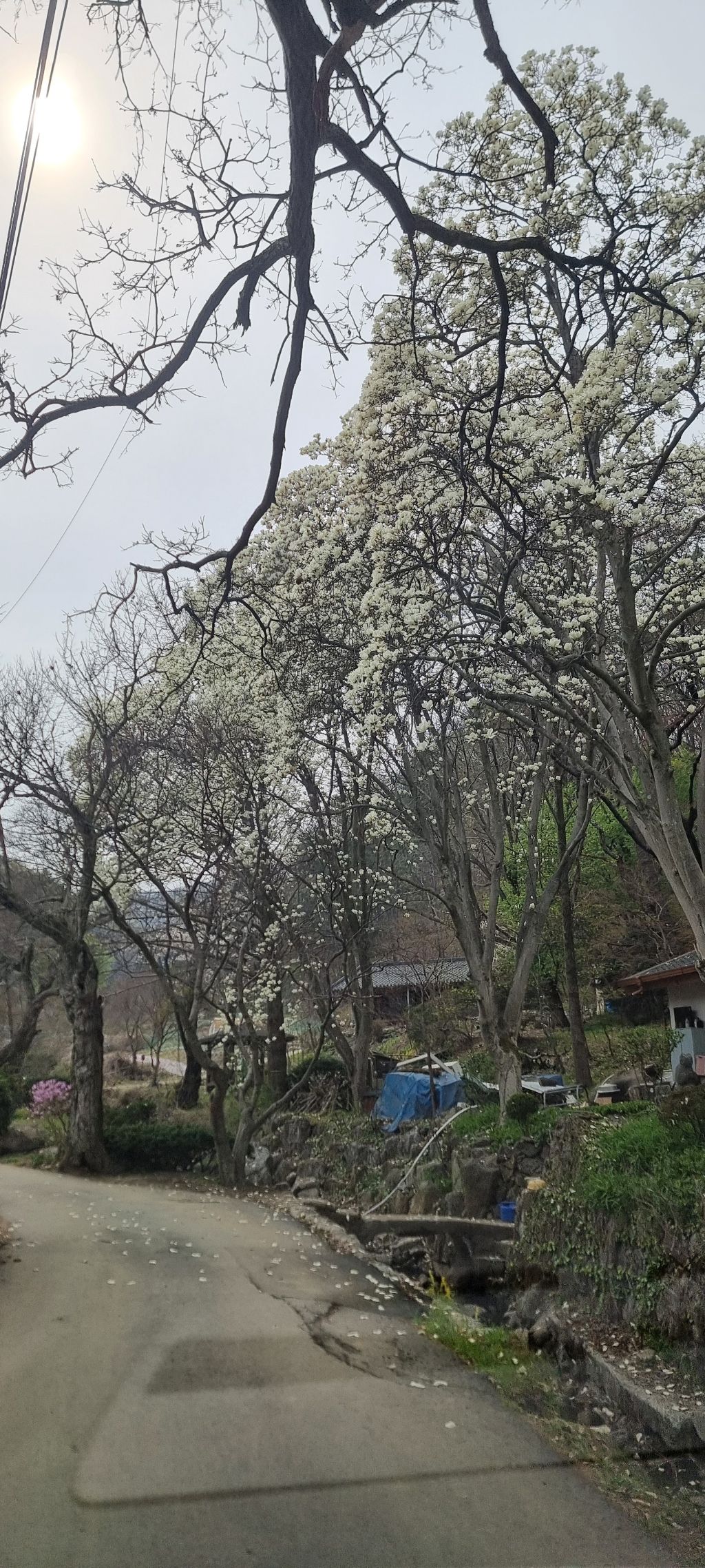 휴게소오전리 이미지