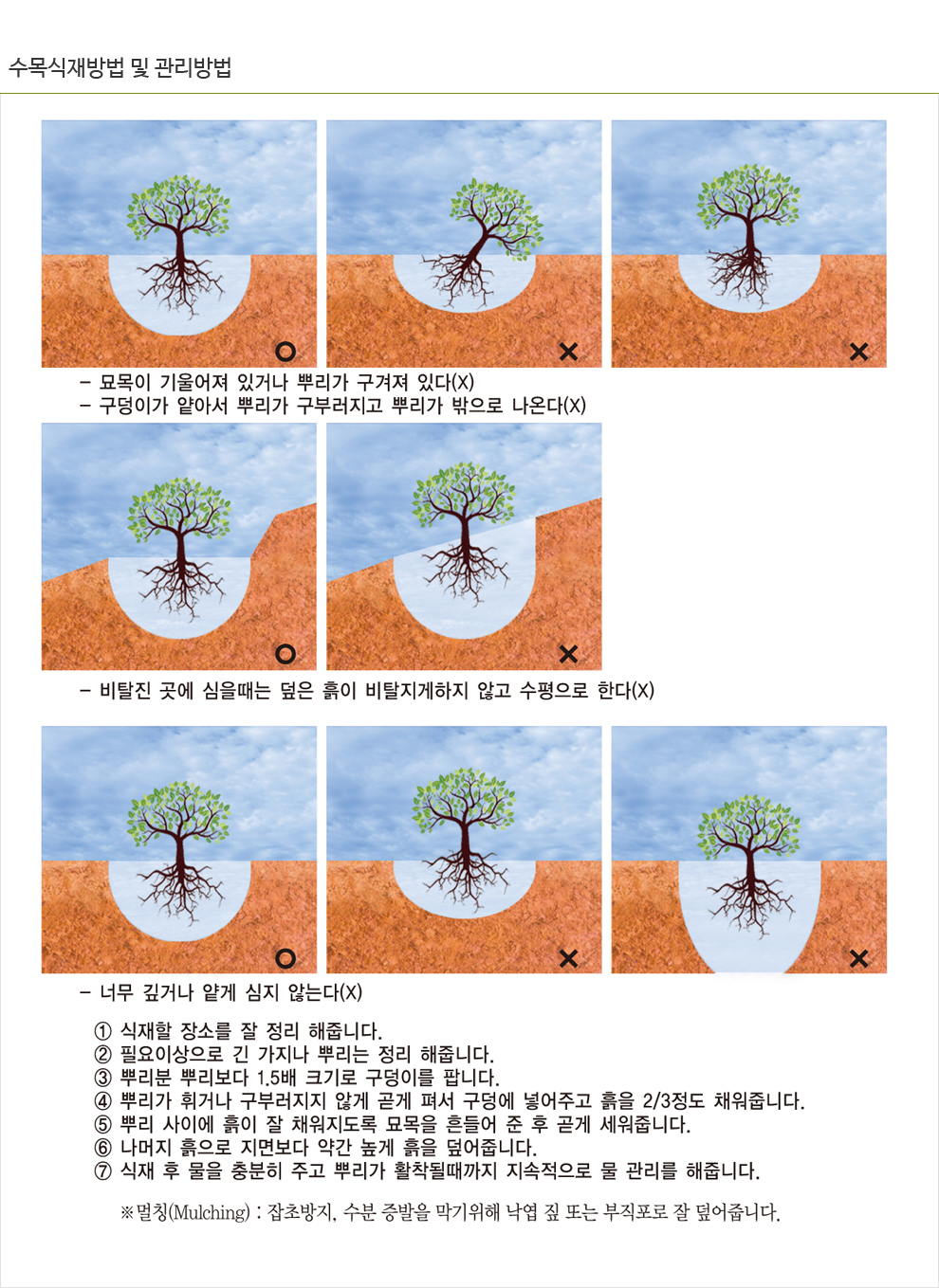 광일 이미지
