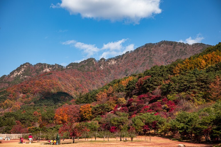 경치좋은 곳 이미지