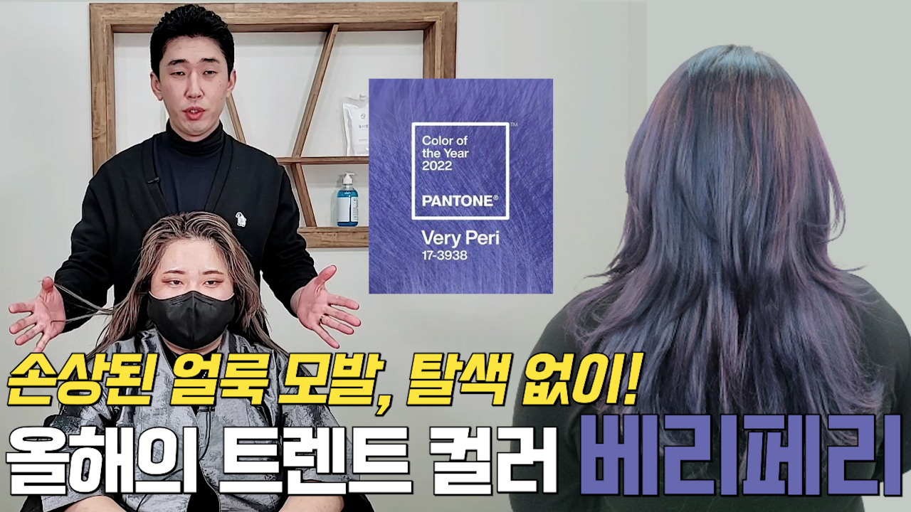 하임 염색 이미지