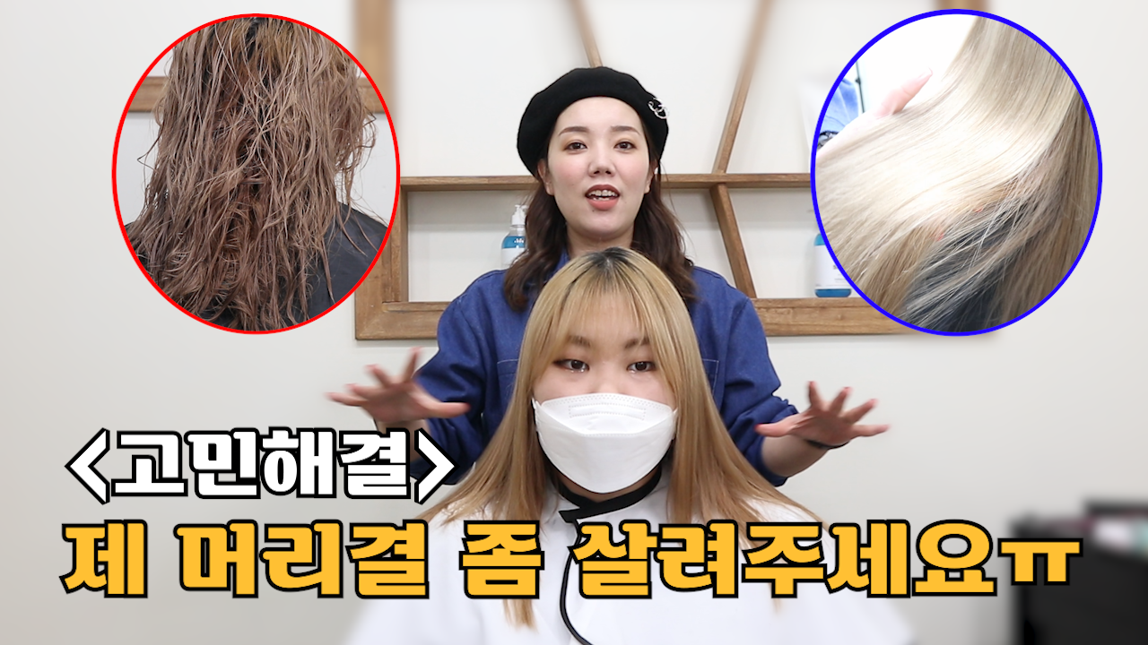 하임 염색 이미지