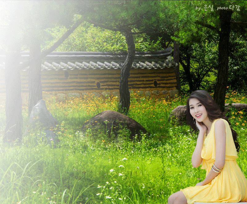 daum