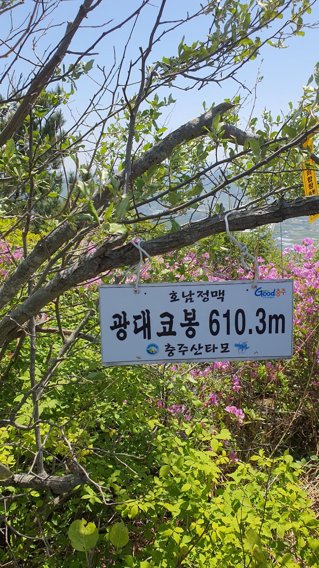 초암산 이미지