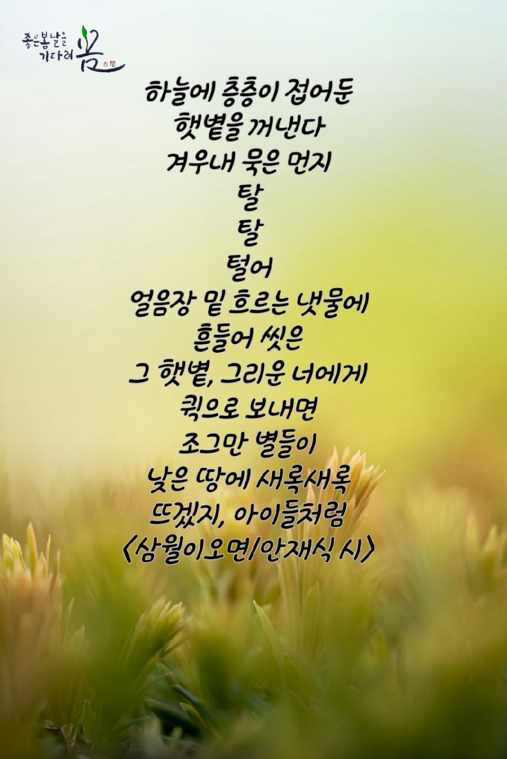 삼월 이미지