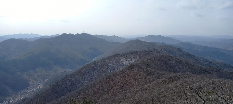 (주) 태종 이미지